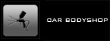 Car Bodyshop